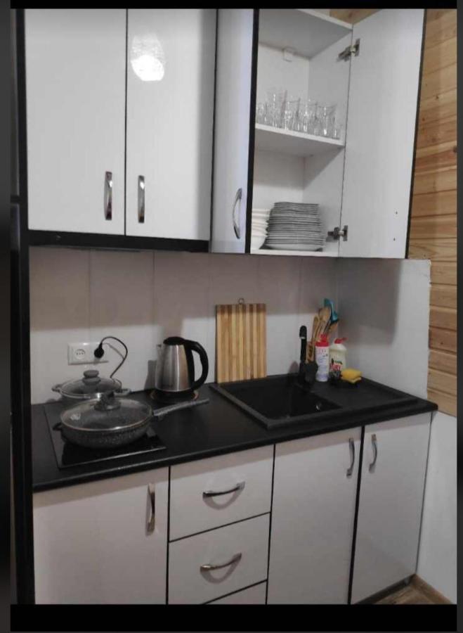 Apartament Mountain Dream House Gudauri Zewnętrze zdjęcie